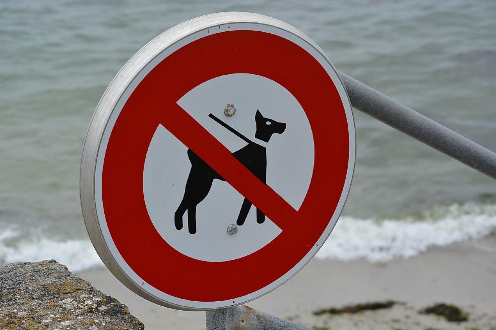 Pet free zones in your holiday let
