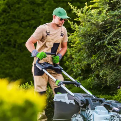 Maintenance Services