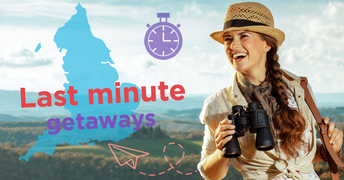 Last minute stays in Brighton & Sussex Airbnb last minute